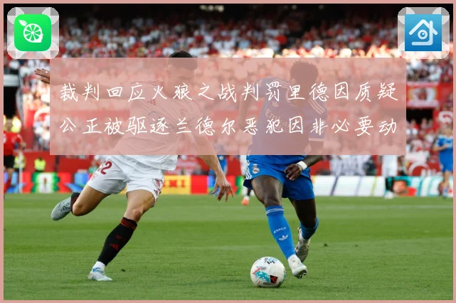 裁判回应火狼之战判罚里德因质疑公正被驱逐兰德尔恶犯因非必要动赛场复盘