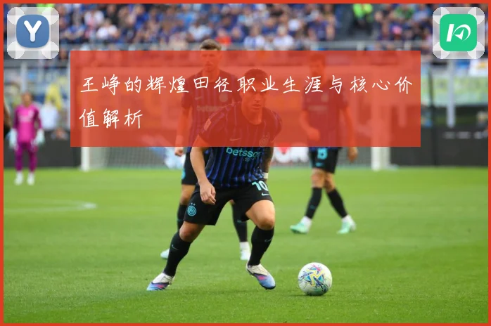 王峥的辉煌田径职业生涯与核心价值解析