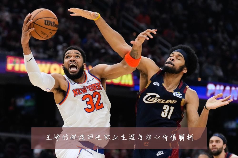 王峥的辉煌田径职业生涯与核心价值解析