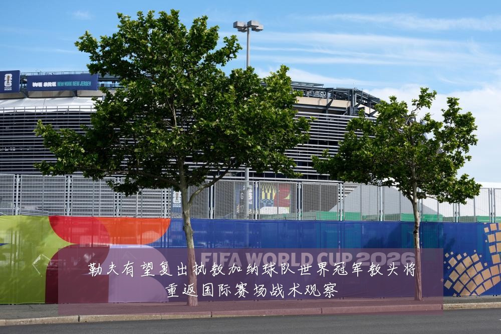 勒夫有望复出执教加纳球队世界冠军教头将重返国际赛场战术观察
